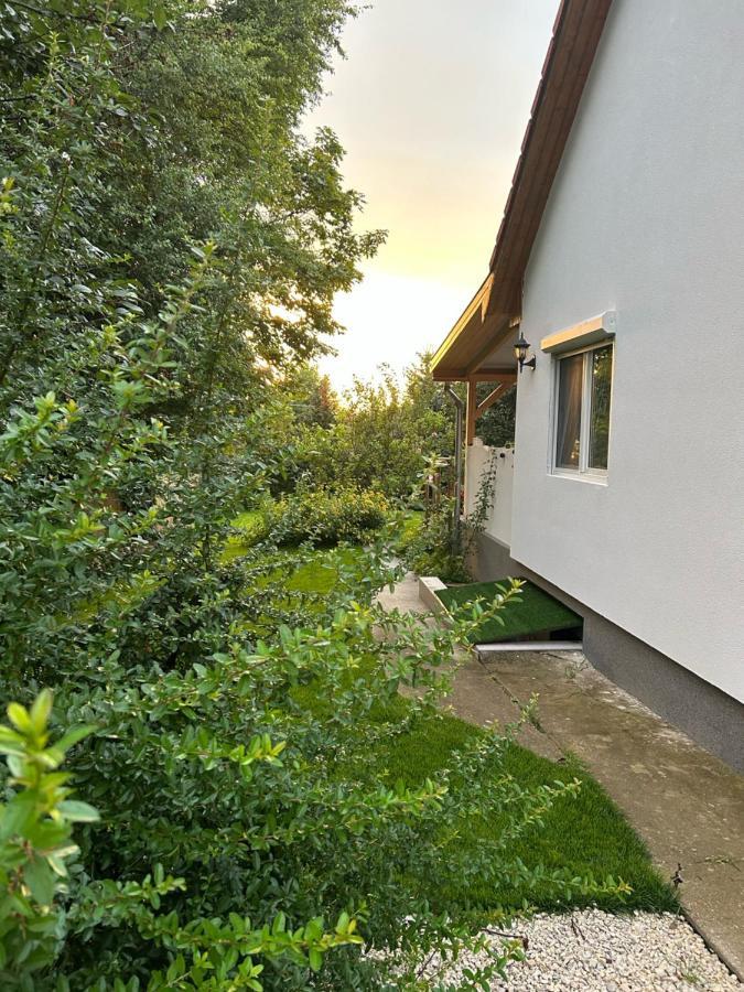 فيلا Kisvirag Vendeghaz Balatonvilágos المظهر الخارجي الصورة